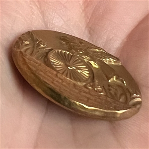 Rare brass button of a parrot riding a penny farthing bicycle.