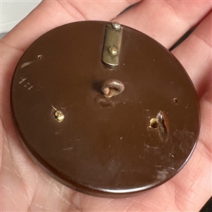 HUGE brass bee on Bakelite button.