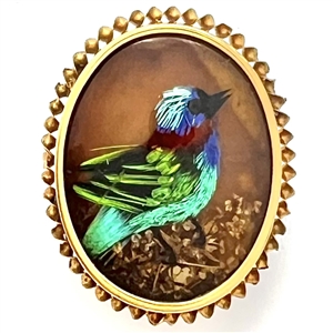 Bird button with real bird feathers over pearl under glass set in metal.