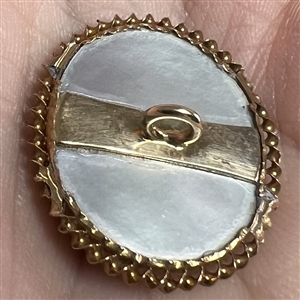 Bird button with real bird feathers over pearl under glass set in metal.