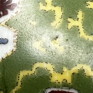 Painted porcelain button set in brass of patterns.