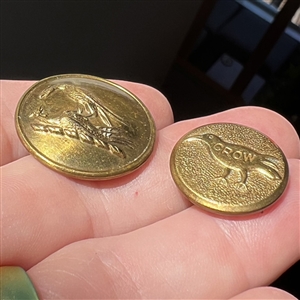 Two brass buttons - a crow work clothes and a livery crest of two birds fighting.