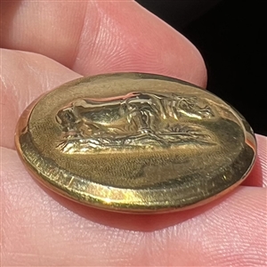 RARE rhino sporting button with Hammond Turner back mark. 