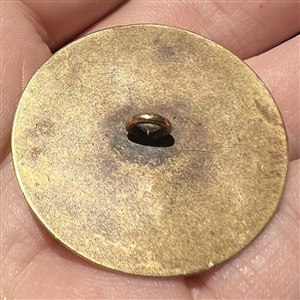 Brass button of a boar's head over a pattern.