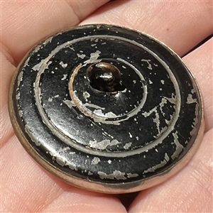 Stamped and tinted button of a boar's head.