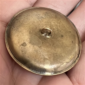 Brass button of a lion's head bursting through.