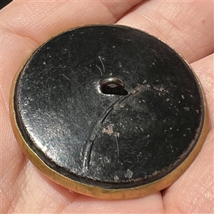 Brass button of a creature holding a shield. 