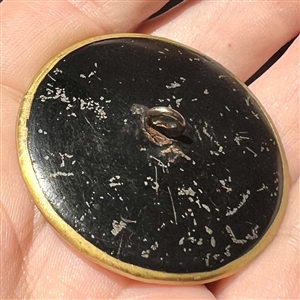 Brass button of a fabulous bee over a wood background. 