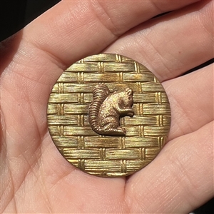 Brass squirrel over basket weave button.