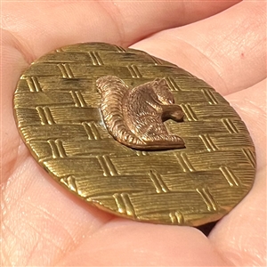 Brass squirrel over basket weave button.