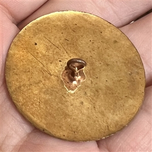 Brass squirrel over basket weave button.