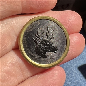 Five dear Deer buttons.