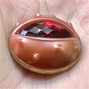 German glass chestnut set in metal button.