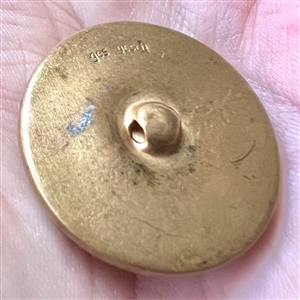 German glass chestnut set in metal button.