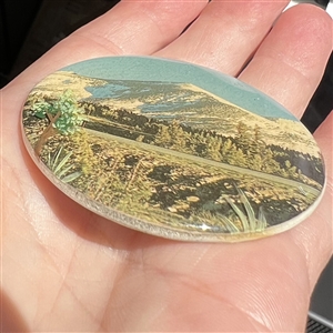 HUGE studio button of a mountain and landscape by Shirley Burgess.