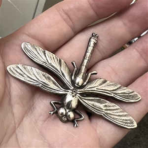 French white metal button of a realistic dragonfly.