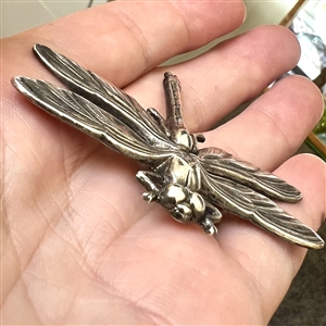 French white metal button of a realistic dragonfly.