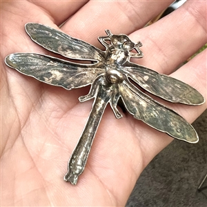 French white metal button of a realistic dragonfly.