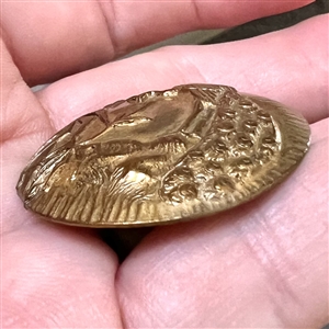 Brass button of a peacock near bamboo.