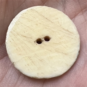 Naughty button of two women interacting.