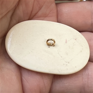 Scrimshaw button of an polar bear on ice.