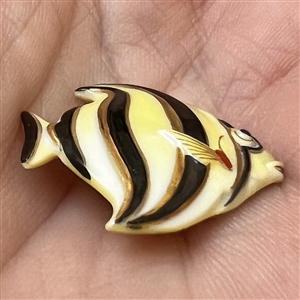 Arita button of a realistic angel fish. 