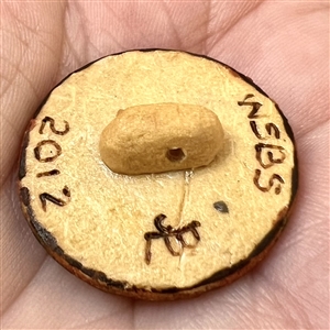 Wood show favor studio button from WSBS 2012 of cat sitting in front of the moon.