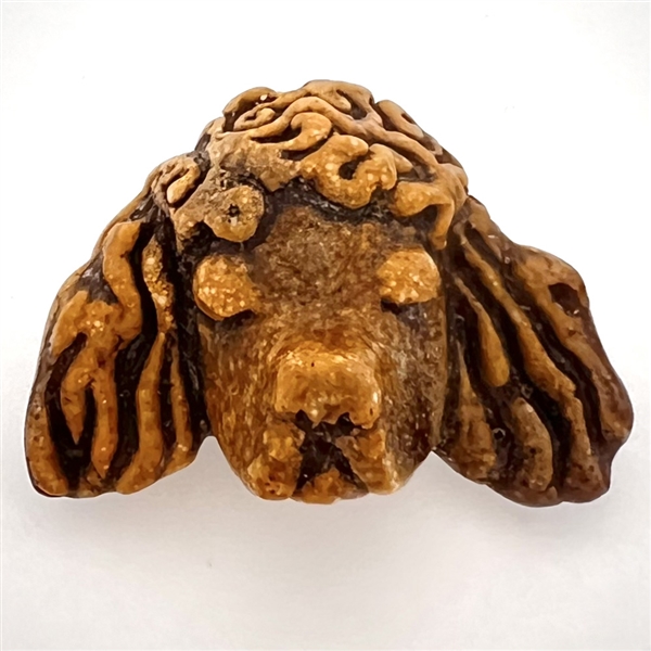 Acrylic shot button of a realistic poodle head.
