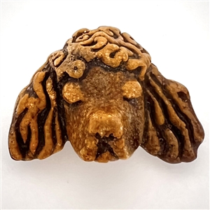 Acrylic shot button of a realistic poodle head.