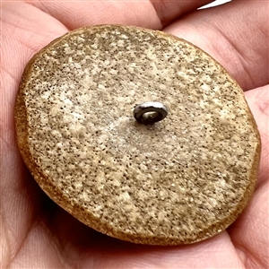 Acrylic shot button of cowboy boots and hat.
