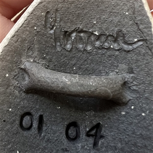 Ceramic studio button of a sail boat.