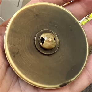 HUGE celluloid button of warrior goddess (?) with spear, shield and animal.