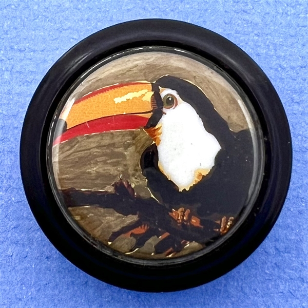 Painting of a toucan under plastic set in British plastic.