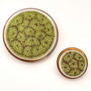 Div I  - Two Coralene glass buttons in mother daughter sizes.