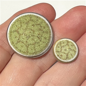 Div I  - Two Coralene glass buttons in mother daughter sizes.