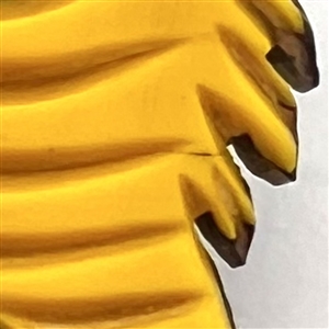 HARD TO FIND laminated Vintage Bakelite laminated over wood button of realistic seahorse.