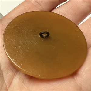 Horn (?) button of a belt and buckle.