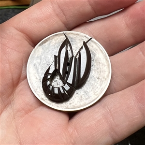 Vintage united plastic button of a crawfish.