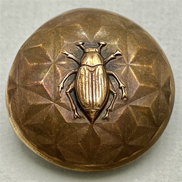 Brass dome button of a beetle.