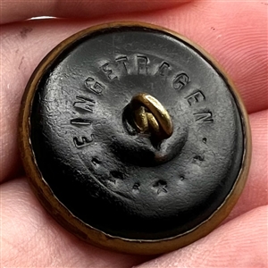 “Victorian Girl Ivoroid button mounted in brass.