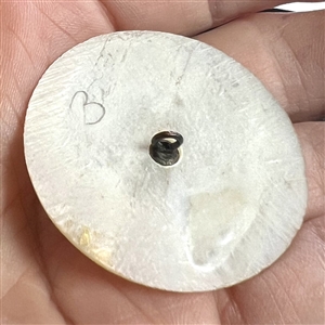Bethlehem pearl button of Adam & Eve and serpent.