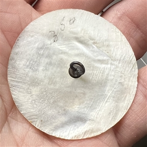 Bethlehem pearl button of Eve and serpent.