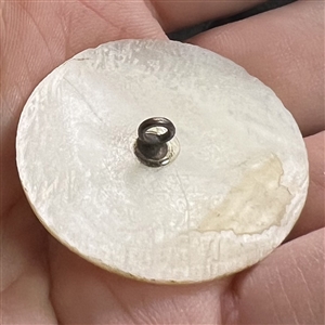 Bethlehem pearl button of Jesus performing a miracle.