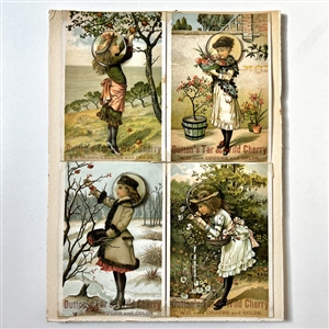 Unique card of “the four seasons watch crystal buttons by J. Nickerson. 