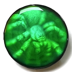 Nancy Dubois hologram button of a spider.
