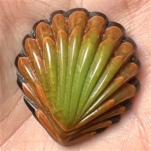 Vintage laminated Bakelite realistic shell button.