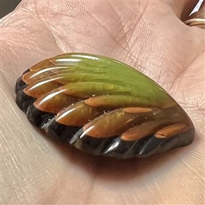 Vintage laminated Bakelite realistic shell button.