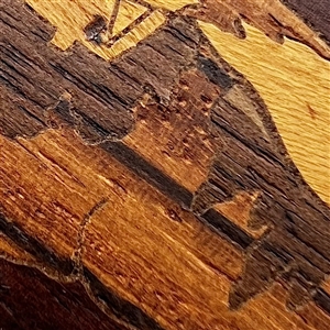 Marquetry wood button of a cabin or a smoking volcano.