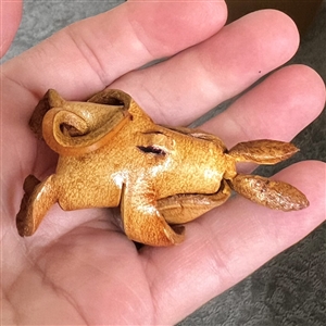 Leather button of a rabbit.