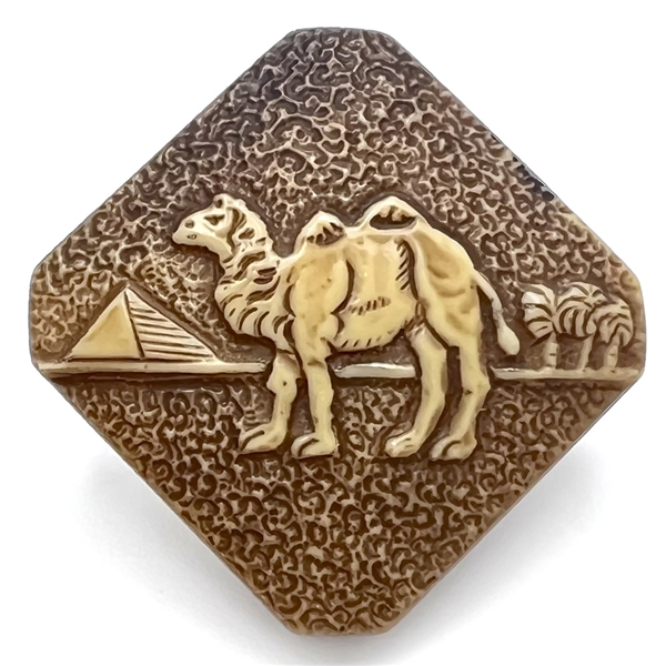 Celluloid button of a camel with pyramid and palms.